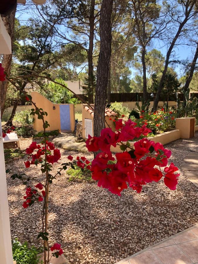 Apartamento Sa Ginebra, Cala Saona Zewnętrze zdjęcie