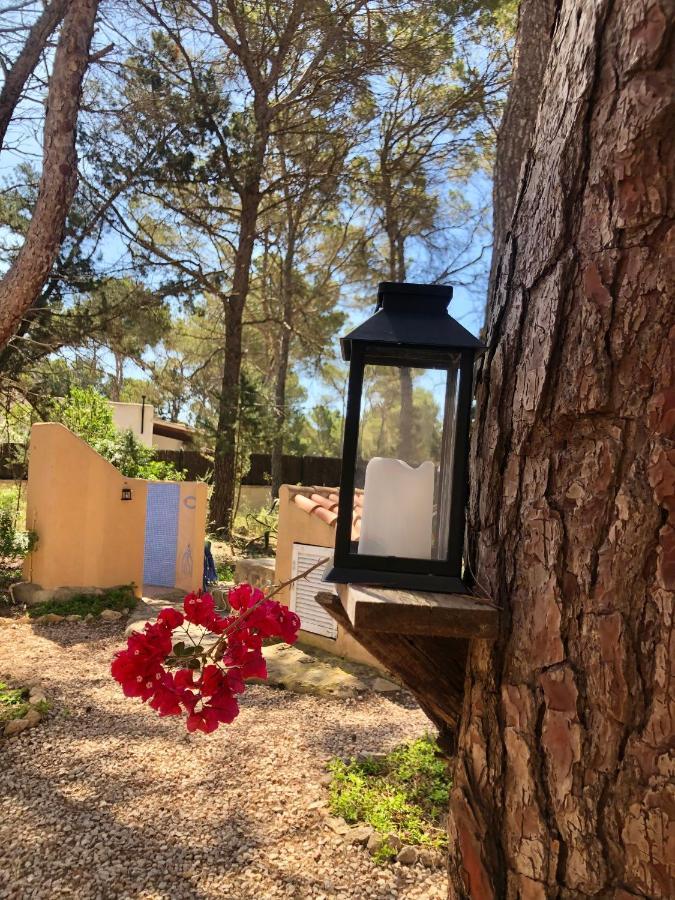 Apartamento Sa Ginebra, Cala Saona Zewnętrze zdjęcie