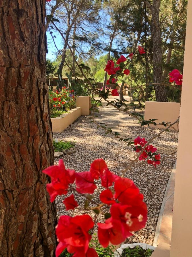 Apartamento Sa Ginebra, Cala Saona Zewnętrze zdjęcie